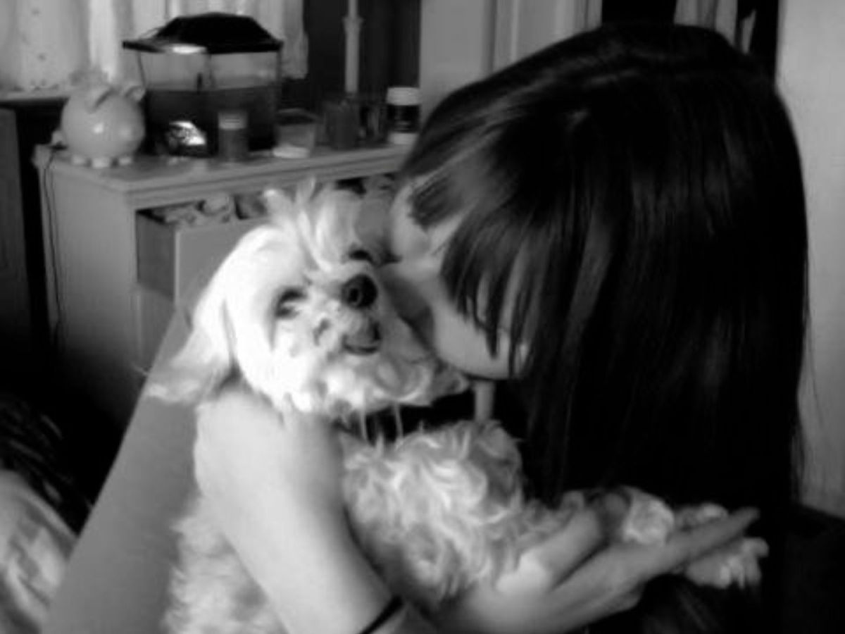 Fast Fiction: The Dog Named&nbsp;Kitty