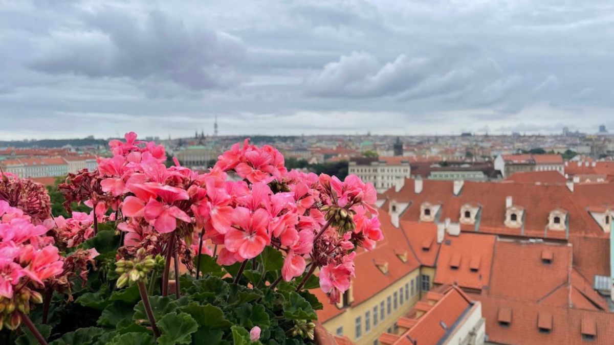 Wise Words from Wise&nbsp;Women